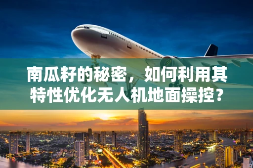南瓜籽的秘密，如何利用其特性优化无人机地面操控？