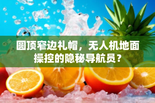 圆顶窄边礼帽，无人机地面操控的隐秘导航员？