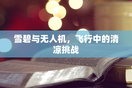雪碧与无人机，飞行中的清凉挑战