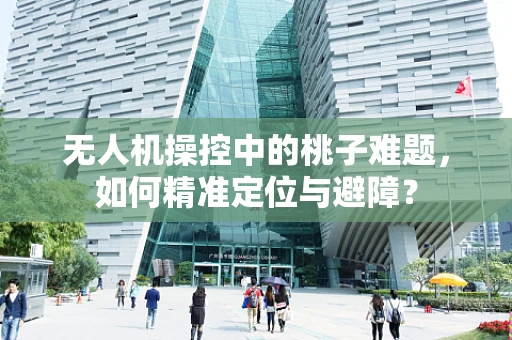 无人机操控中的桃子难题，如何精准定位与避障？