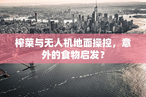 榨菜与无人机地面操控，意外的食物启发？