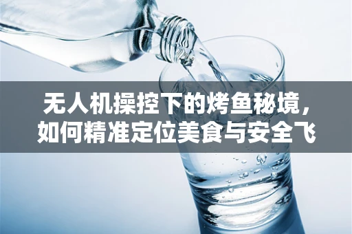 无人机操控下的烤鱼秘境，如何精准定位美食与安全飞行的平衡？