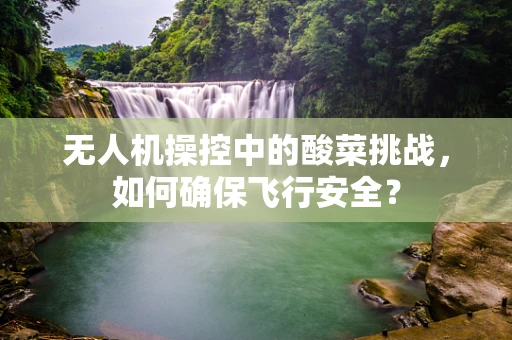 无人机操控中的酸菜挑战，如何确保飞行安全？