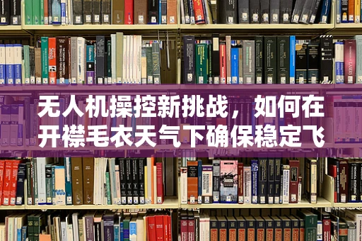 无人机操控新挑战，如何在开襟毛衣天气下确保稳定飞行？
