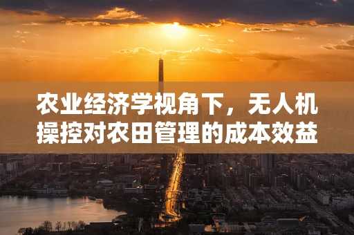 农业经济学视角下，无人机操控对农田管理的成本效益分析
