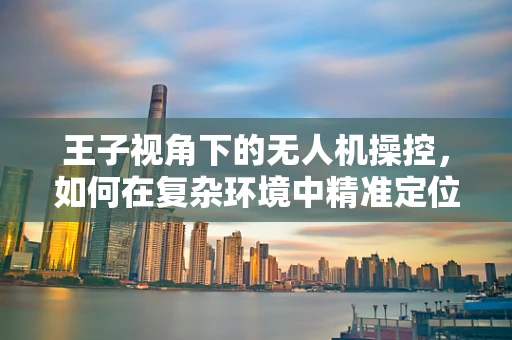 王子视角下的无人机操控，如何在复杂环境中精准定位？