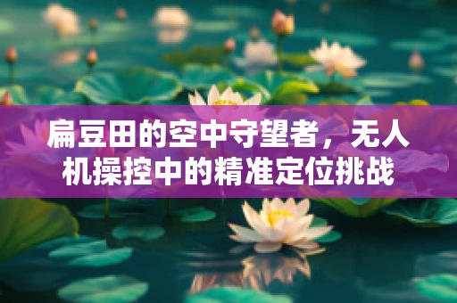 扁豆田的空中守望者，无人机操控中的精准定位挑战