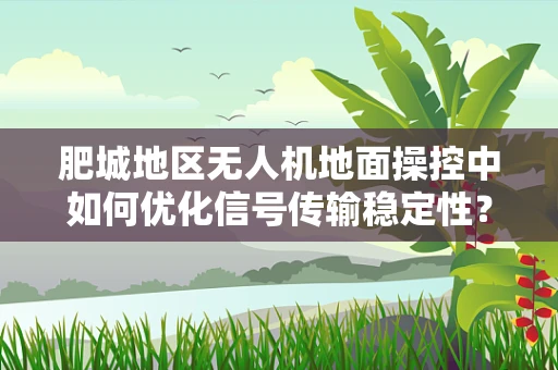 肥城地区无人机地面操控中如何优化信号传输稳定性？
