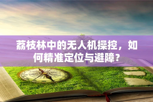 荔枝林中的无人机操控，如何精准定位与避障？