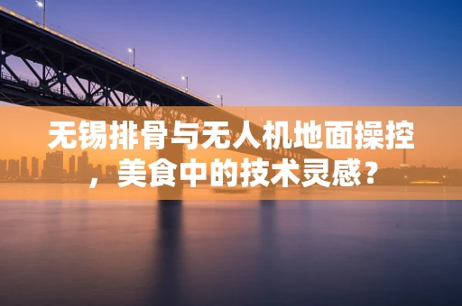 无锡排骨与无人机地面操控，美食中的技术灵感？