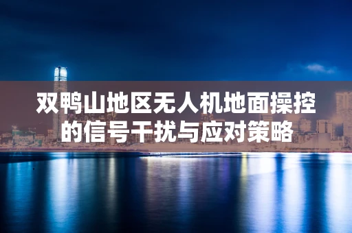 双鸭山地区无人机地面操控的信号干扰与应对策略
