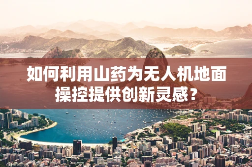 如何利用山药为无人机地面操控提供创新灵感？