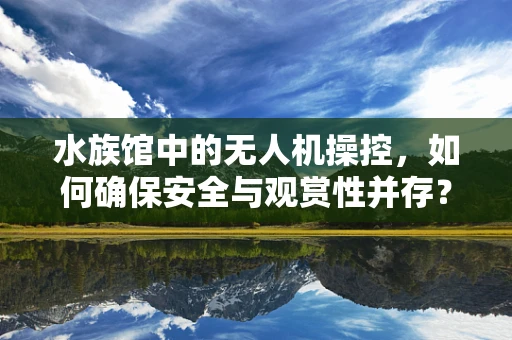 水族馆中的无人机操控，如何确保安全与观赏性并存？