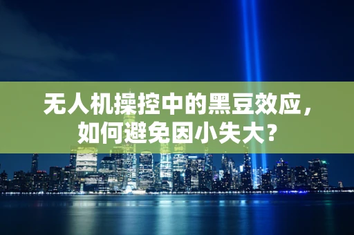 无人机操控中的黑豆效应，如何避免因小失大？