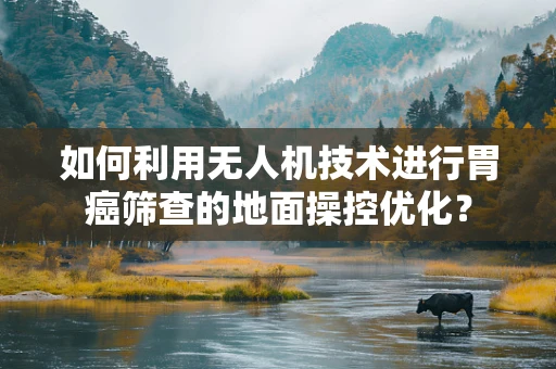 如何利用无人机技术进行胃癌筛查的地面操控优化？