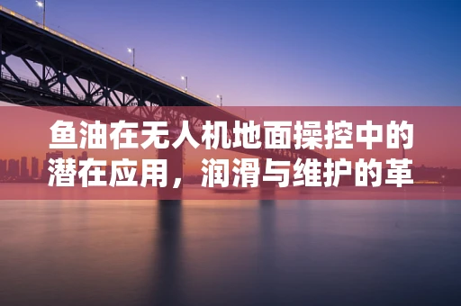 鱼油在无人机地面操控中的潜在应用，润滑与维护的革新之问？
