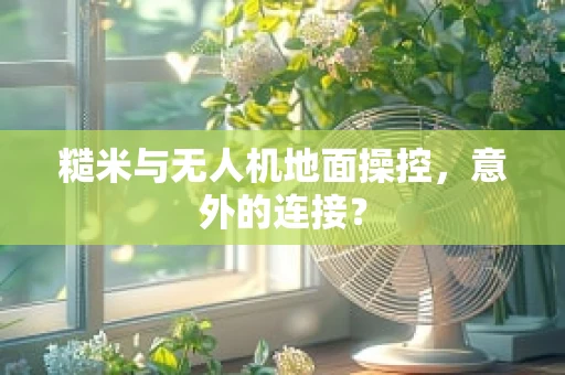 糙米与无人机地面操控，意外的连接？