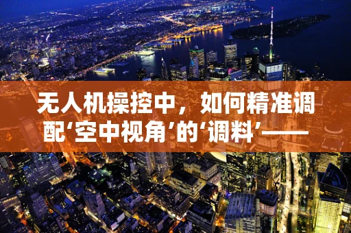 无人机操控中，如何精准调配‘空中视角’的‘调料’——料酒般的辅助技术？