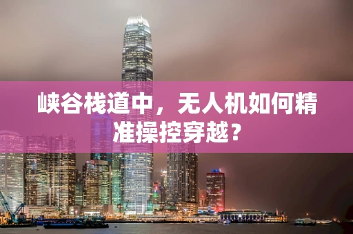 峡谷栈道中，无人机如何精准操控穿越？
