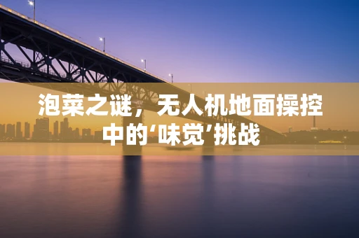 泡菜之谜，无人机地面操控中的‘味觉’挑战