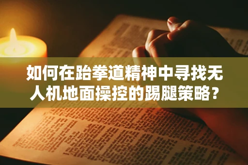 如何在跆拳道精神中寻找无人机地面操控的踢腿策略？