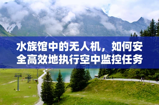 水族馆中的无人机，如何安全高效地执行空中监控任务？