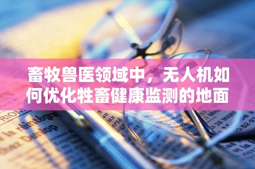 畜牧兽医领域中，无人机如何优化牲畜健康监测的地面操控策略？