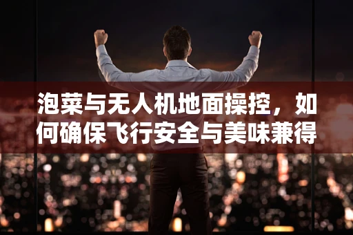 泡菜与无人机地面操控，如何确保飞行安全与美味兼得？