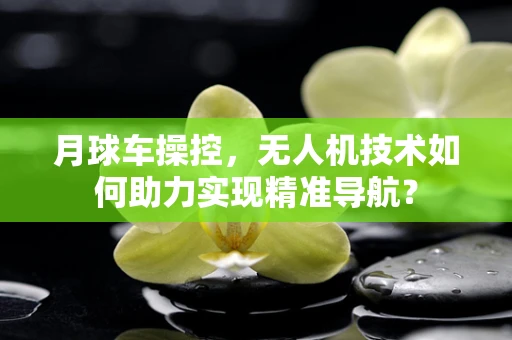 月球车操控，无人机技术如何助力实现精准导航？