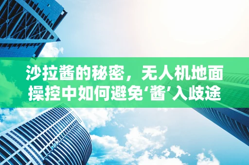 沙拉酱的秘密，无人机地面操控中如何避免‘酱’入歧途？
