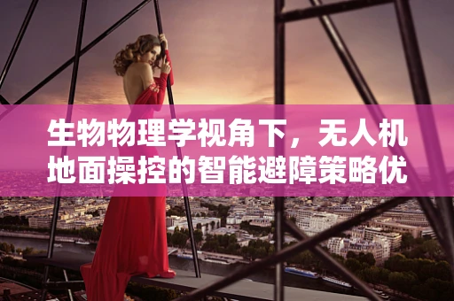 生物物理学视角下，无人机地面操控的智能避障策略优化