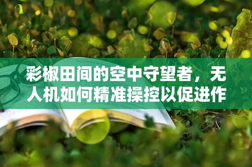 彩椒田间的空中守望者，无人机如何精准操控以促进作物生长？