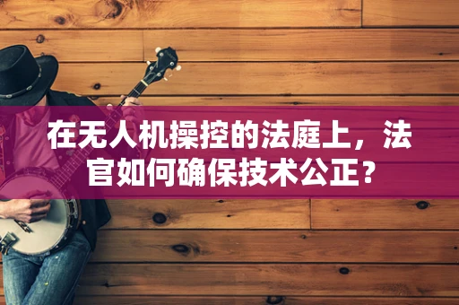 在无人机操控的法庭上，法官如何确保技术公正？