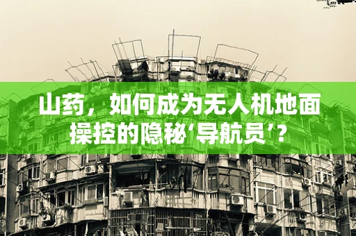 山药，如何成为无人机地面操控的隐秘‘导航员’？