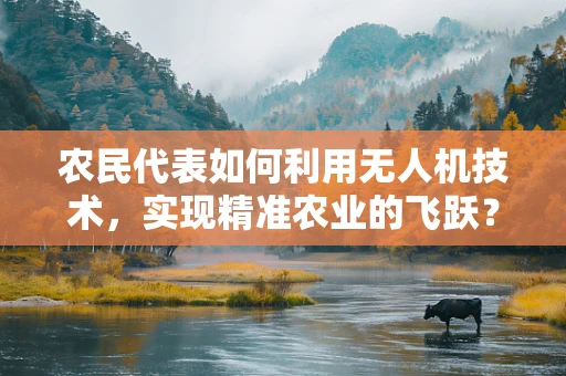 农民代表如何利用无人机技术，实现精准农业的飞跃？