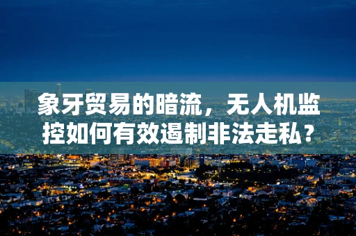 象牙贸易的暗流，无人机监控如何有效遏制非法走私？
