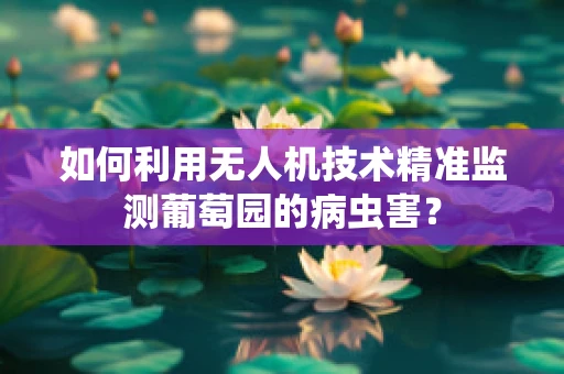 如何利用无人机技术精准监测葡萄园的病虫害？