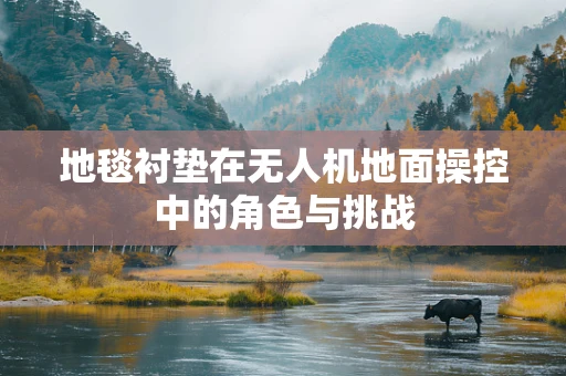 地毯衬垫在无人机地面操控中的角色与挑战