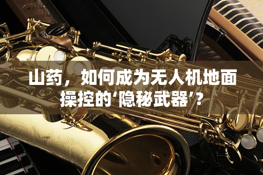 山药，如何成为无人机地面操控的‘隐秘武器’？