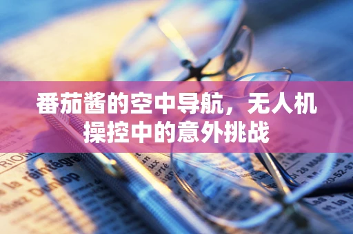 番茄酱的空中导航，无人机操控中的意外挑战