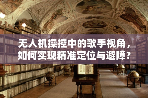 无人机操控中的歌手视角，如何实现精准定位与避障？