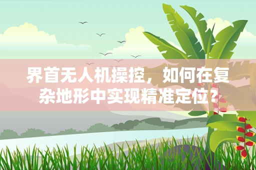 界首无人机操控，如何在复杂地形中实现精准定位？