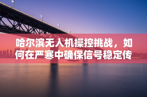 哈尔滨无人机操控挑战，如何在严寒中确保信号稳定传输？
