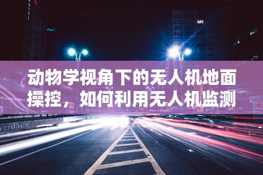 动物学视角下的无人机地面操控，如何利用无人机监测野生动物行为？