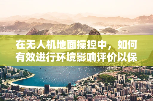 在无人机地面操控中，如何有效进行环境影响评价以保障飞行安全？