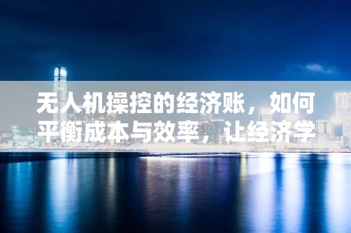 无人机操控的经济账，如何平衡成本与效率，让经济学家也点头？