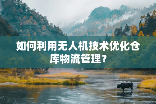 如何利用无人机技术优化仓库物流管理？