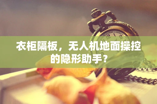 衣柜隔板，无人机地面操控的隐形助手？