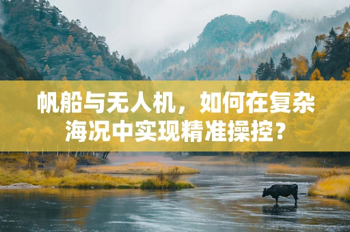 帆船与无人机，如何在复杂海况中实现精准操控？
