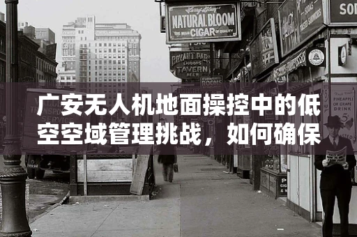广安无人机地面操控中的低空空域管理挑战，如何确保安全与效率的平衡？